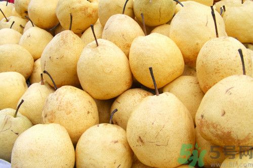 沒有榨汁機怎么榨梨汁?用保鮮膜簡單榨梨汁方法 沒有榨汁機怎么榨梨汁?用保鮮膜簡單榨梨汁方法