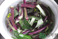 菜苔是苦的怎么回事?菜苔為什么會(huì)有點(diǎn)苦?.png 菜苔是苦的怎么回事?菜苔為什么會(huì)有點(diǎn)苦?.png