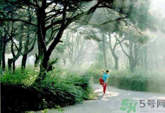 晨練前要不要吃早餐呢？晨練應(yīng)該吃早餐嗎？