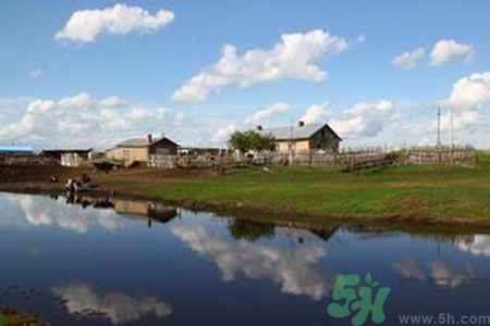 呼倫貝爾河為什么被污染？喝了呼倫貝爾河污染的水會怎么樣？