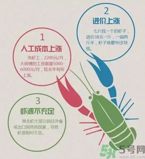 小龍蝦多少錢一斤？吃小龍蝦要注意些什么？