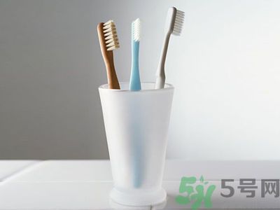 牙齦出血要換牙刷嗎？牙刷多久換一次好？