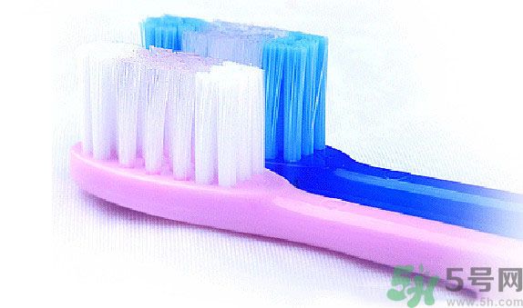 牙齦出血要換牙刷嗎？牙刷多久換一次好？