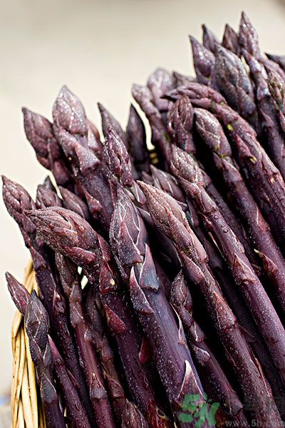紫蘆筍是轉(zhuǎn)基因嗎？紫蘆筍和綠蘆筍哪個好？