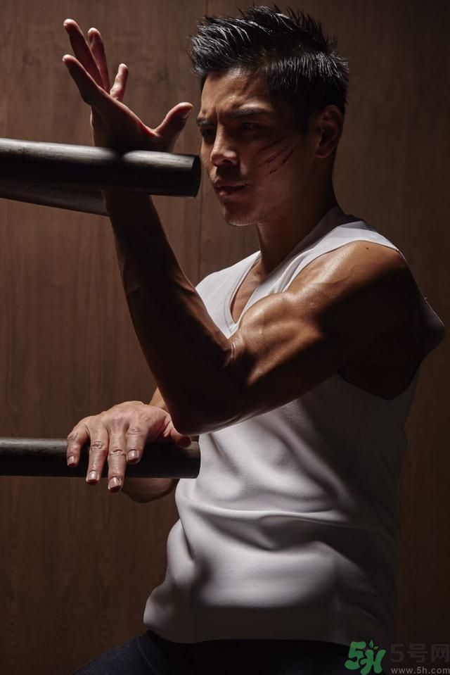 李連杰為什么故意打向佐？向佐是誰？