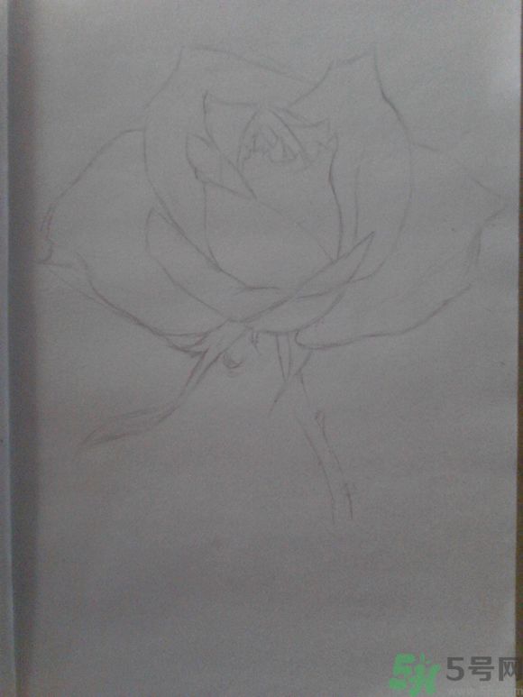 16歲少年圓珠筆畫出大作 圓珠筆畫入門怎么學？