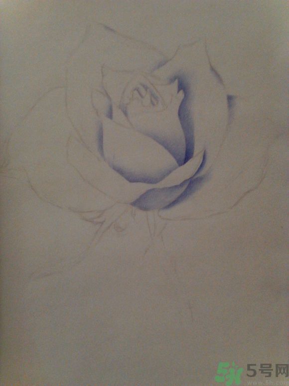 16歲少年圓珠筆畫出大作 圓珠筆畫入門怎么學？