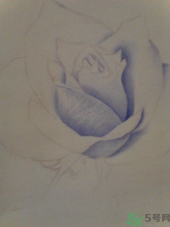 16歲少年圓珠筆畫出大作 圓珠筆畫入門怎么學？