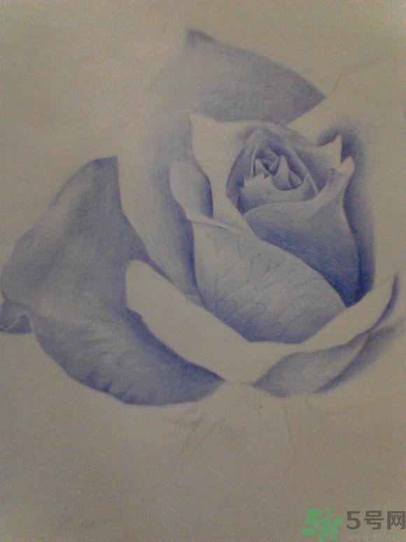 16歲少年圓珠筆畫出大作 圓珠筆畫入門怎么學？