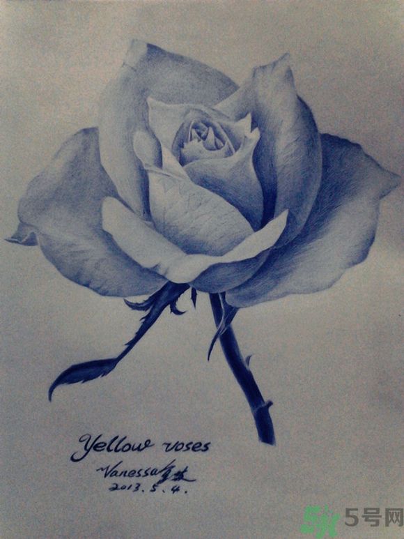 16歲少年圓珠筆畫出大作 圓珠筆畫入門怎么學？