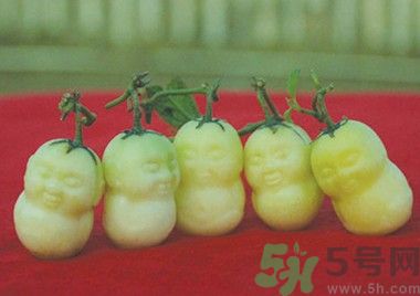 人參果怎么吃？人參果的營(yíng)養(yǎng)價(jià)值有哪些？