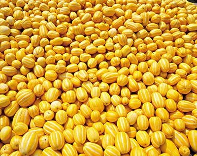 拉肚子能吃香瓜嗎？拉肚子吃香瓜好嗎？