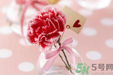 母親節(jié)送幾朵康乃馨好？母親節(jié)應(yīng)該送幾朵康乃馨？