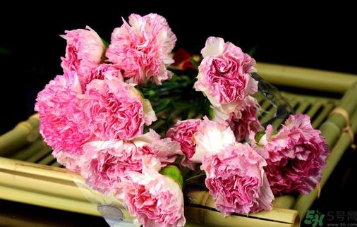 母親節(jié)送什么花好？母親節(jié)應該送什么鮮花？