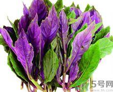 紅鳳菜有毒嗎?紅鳳菜的功效與作用.png 紅鳳菜有毒嗎?紅鳳菜的功效與作用.png