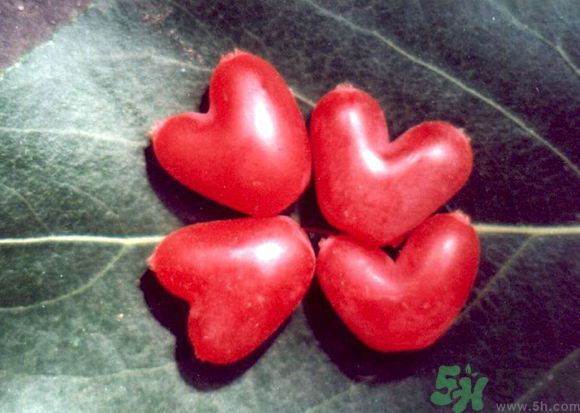 杈杷果好吃嗎？杈杷果的營(yíng)養(yǎng)價(jià)值與功效