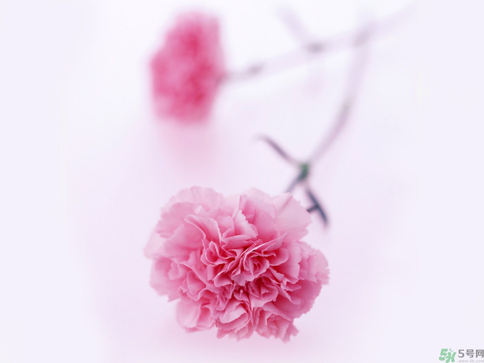 母親節(jié)送什么禮物給婆婆？母親節(jié)送什么禮物給婆婆好？