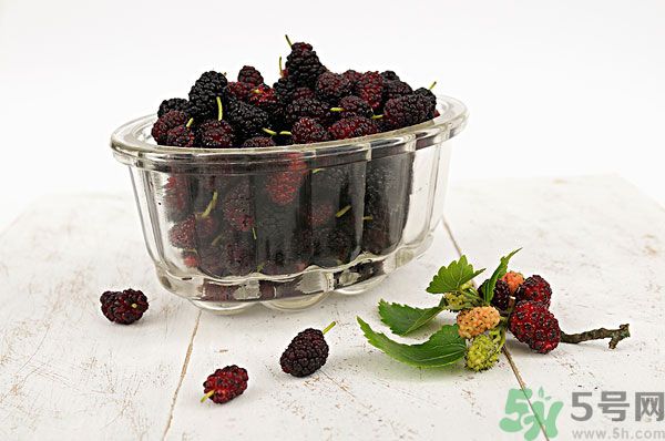 桑葚泡酒男人可以喝嗎？桑葚泡酒男人喝好不好？