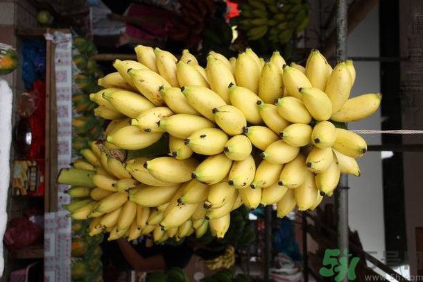 孕婦可以吃牛奶蕉嗎？孕婦吃牛奶蕉好嗎？