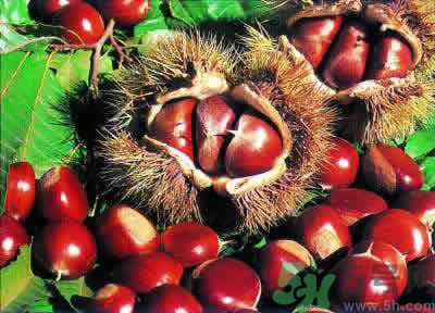 板栗是酸性還是堿性？板栗是酸性的嗎？