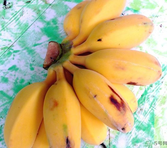 什么是牛奶蕉？牛奶蕉好吃嗎？