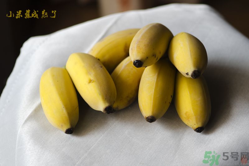 牛奶蕉可以和蘋果一起吃嗎？牛奶蕉和蘋果一起吃好嗎？