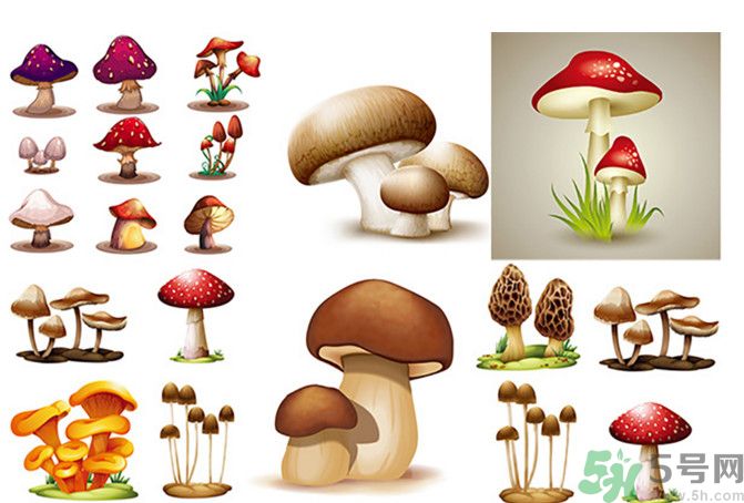 吃蘑菇可以喝酒嗎？吃蘑菇喝酒會(huì)中毒嗎？