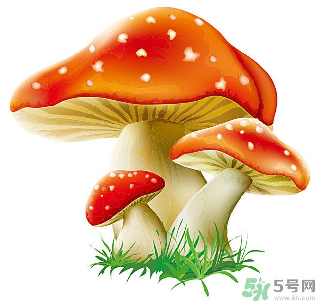 吃蘑菇可以喝酒嗎？吃蘑菇喝酒會(huì)中毒嗎？