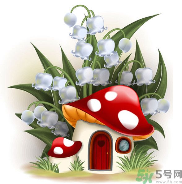 吃蘑菇可以喝酒嗎？吃蘑菇喝酒會(huì)中毒嗎？