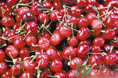 櫻桃是溫性的還是熱性的？櫻桃是溫性的嗎？