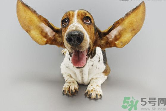 耳石脫落導(dǎo)致的眩暈怎么辦？耳石癥暈眩能自愈嗎？