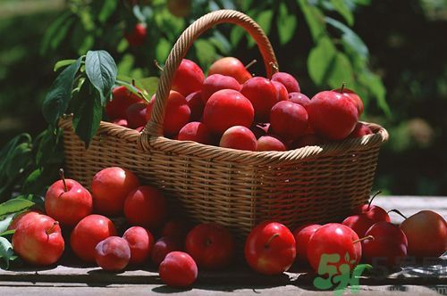 李子是酸性還是堿性？李子是酸性嗎？