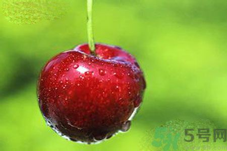 月經(jīng)期間可以吃李子嗎？月經(jīng)期間吃李子好嗎？