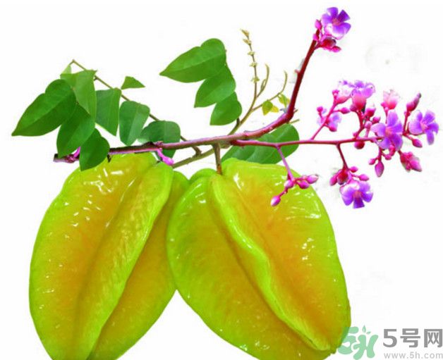 慢性腎炎可以吃楊桃嗎？慢性腎炎吃楊桃好嗎？