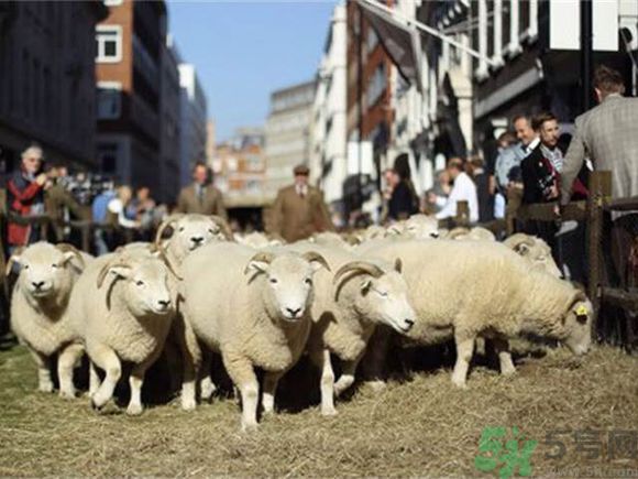 如何挑選高定西裝？定制西裝要注意些什么？