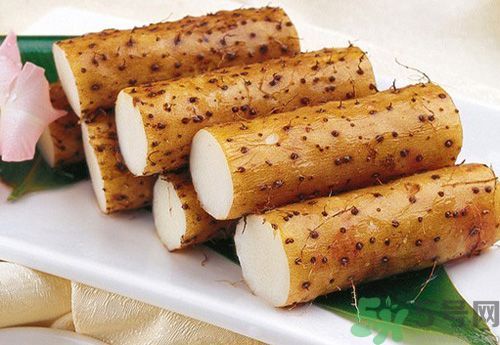 山藥是熱性還是涼性的？山藥是熱性的嗎？