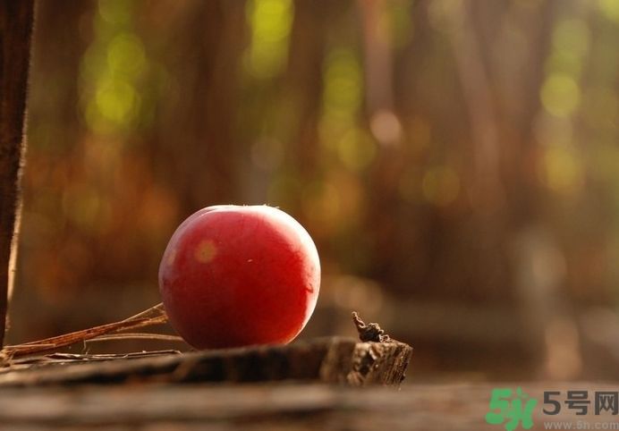 高血壓可以吃李子嗎？高血壓吃李子好嗎？