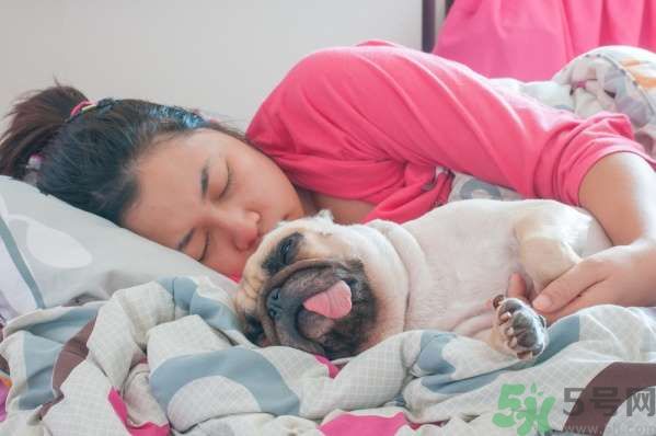 和寵物一起睡覺(jué)要注意什么？寵物睡姿有什么含義？