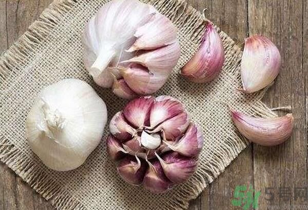 提高記憶力要吃什么食物？吃什么食物提高記憶力？