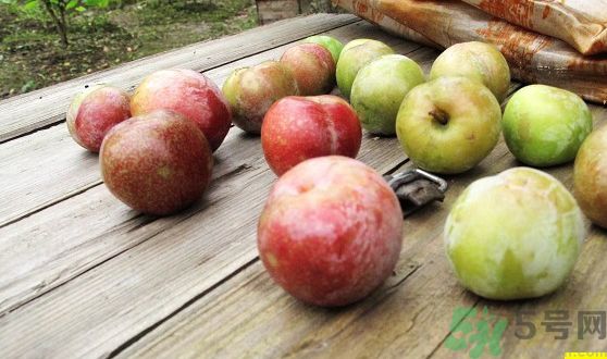 李子可以美容嗎？李子怎么吃可以美容？