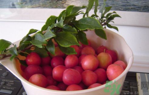 李子可以美容嗎？李子怎么吃可以美容？