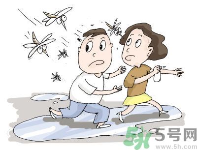 被蚊子咬很癢怎么辦？被蚊子咬要怎么止癢？