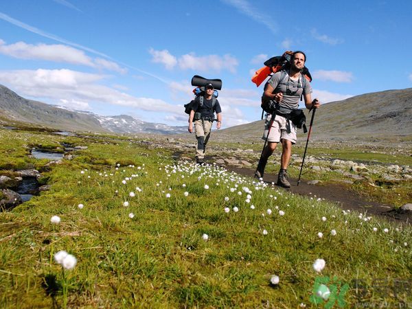 小伙辭職旅行3年帶回美國女友 徒步旅游裝備有哪些？