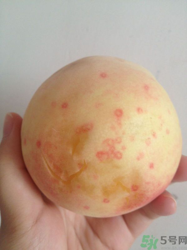 桃子上有紅點(diǎn)能吃嗎？桃子上有黑點(diǎn)可以吃嗎？