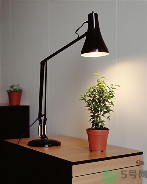 眼鏡疲勞喝什么茶好？喝什么可以抗眼睛疲勞？