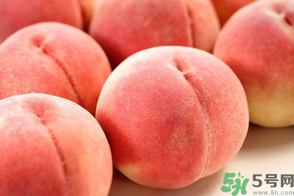 桃子和杏子可以一起吃嗎？杏子和桃子有什么區(qū)別？