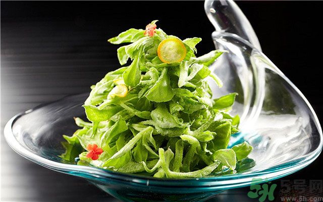 什么是冰草？冰草有什么作用？