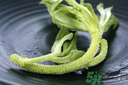 冰草好吃嗎？冰草怎么做好吃？
