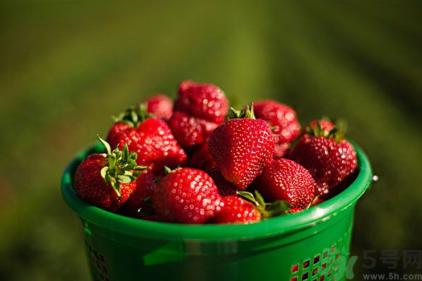 五月吃什么水果好？五月有哪些水果可以吃？