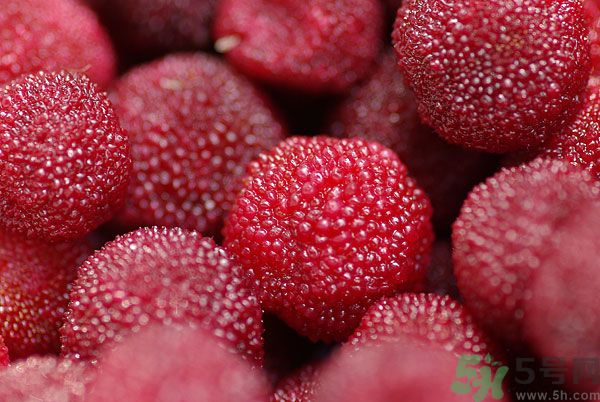 楊梅和梅子是一樣的嗎？楊梅和梅子有什么區(qū)別？